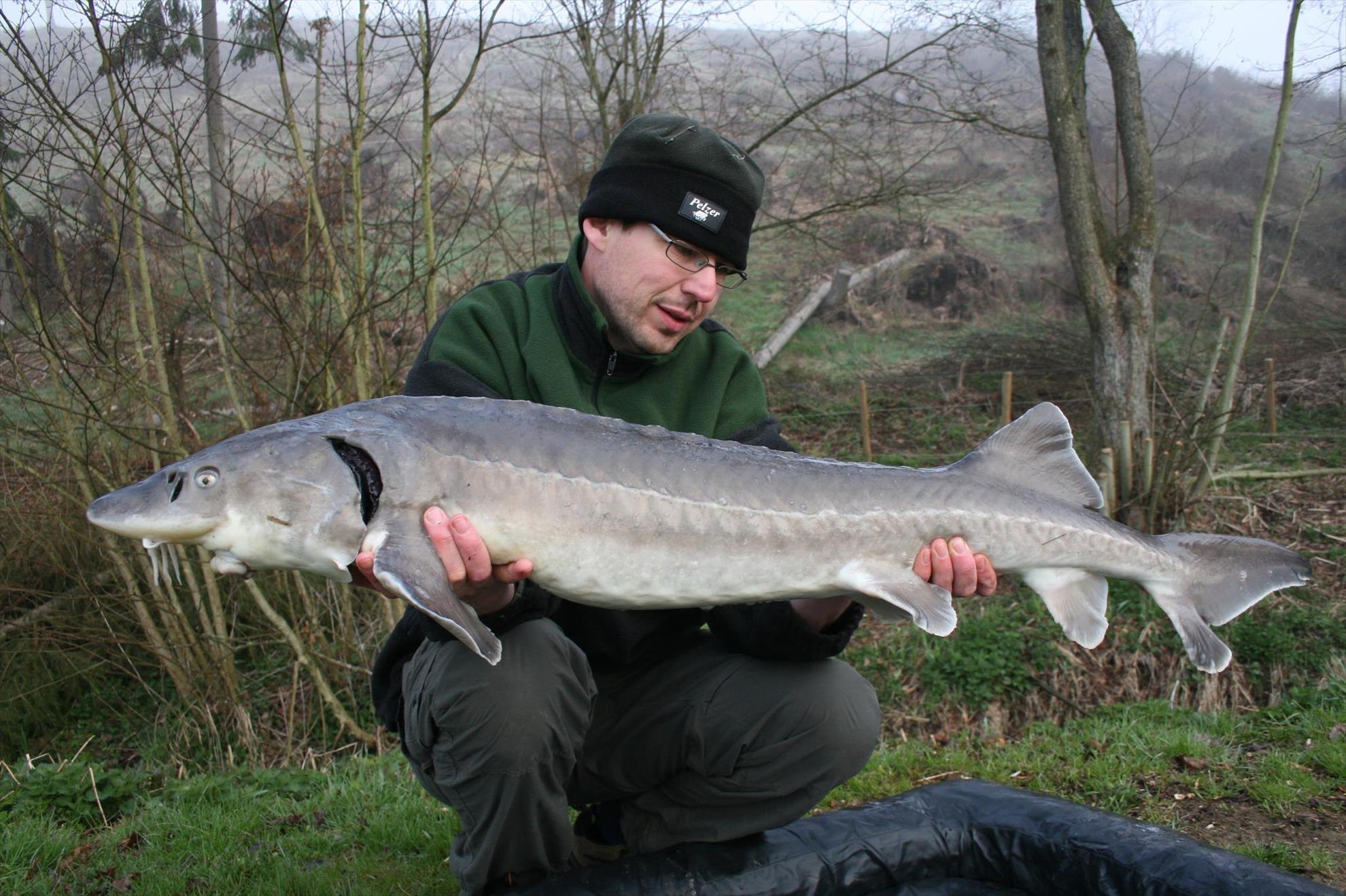 pescuitul+natura - 79389040406334968637327689927o.jpg